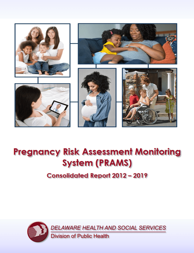 Pregnancy Risk Assessment Monitoring System (PRAMS) Consolidated Report 2012-2019