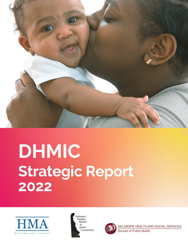 DHMIC Strategic Plan