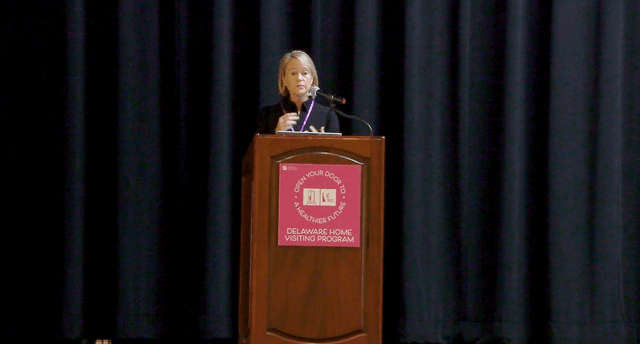 Infant and Early Childhood: Insights on Consultation in Delaware