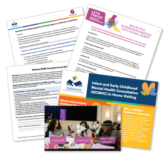 Home Visiting and Infant & Early Childhood Mental Health Consultation