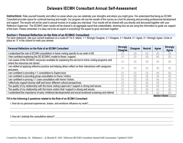 DE IECMH Consultant Self-Assessment