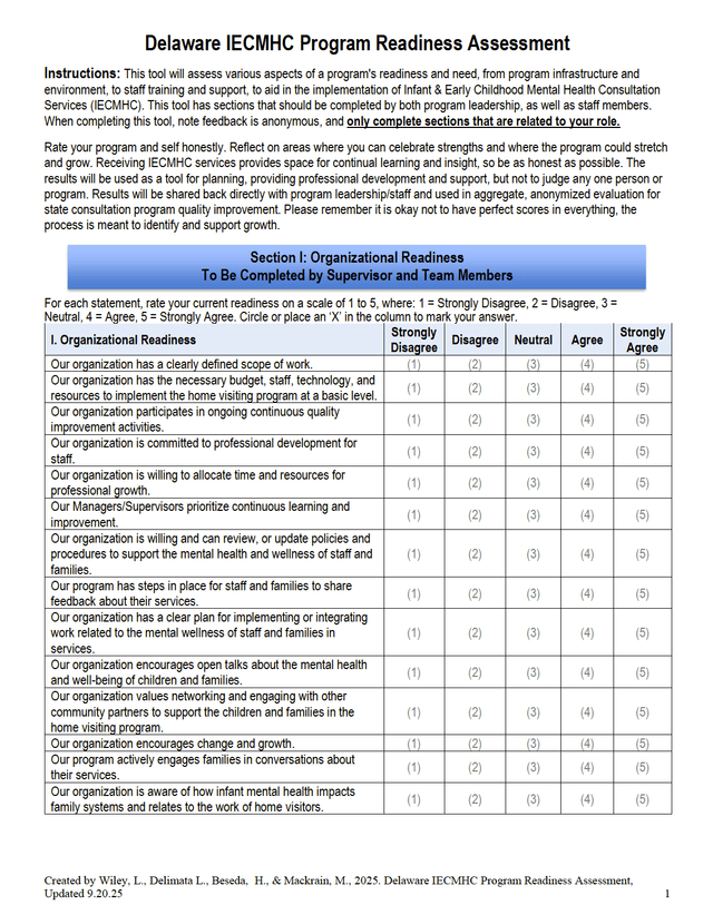 Delaware IECMHC Program Readiness (No Scoring)