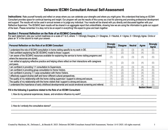DE IECMH Consultant Self-Assessment